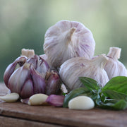 Garlic - Gourmet Garlic Collection