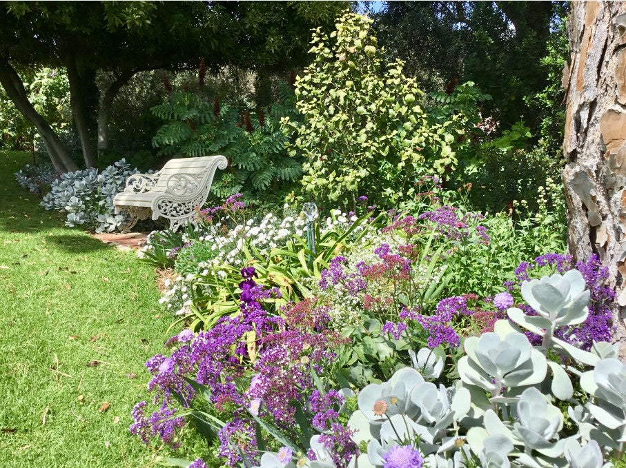 Summer Proofing Your Garden Masterclass 2024