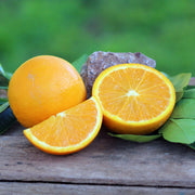 Citrus Started Pack