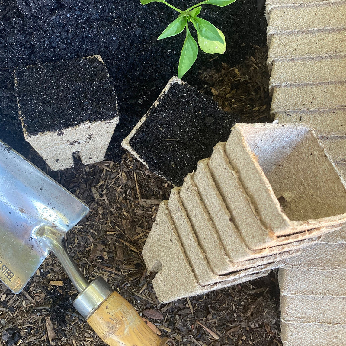 Peat Pots Small x 120