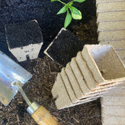 Peat Pots Small x 120