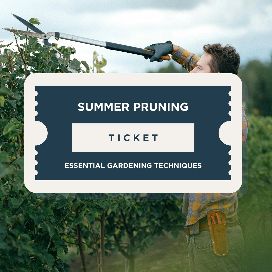 Summer Pruning: St Erth Masterclass