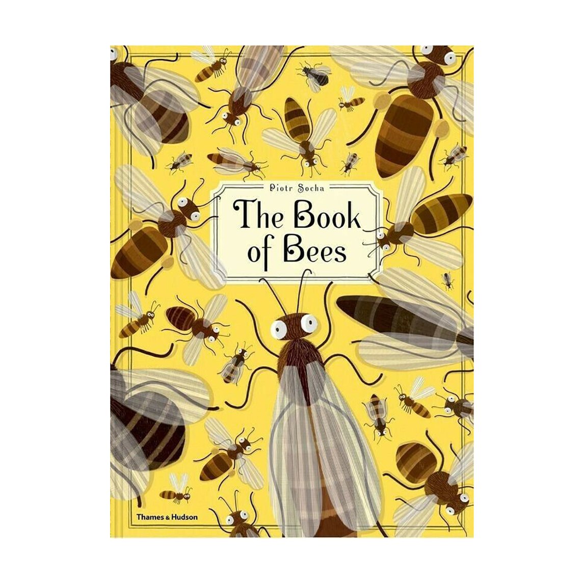 The Book of Bees by Piotr Socha