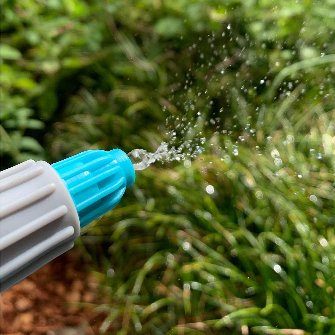 2lt Pressure Sprayer