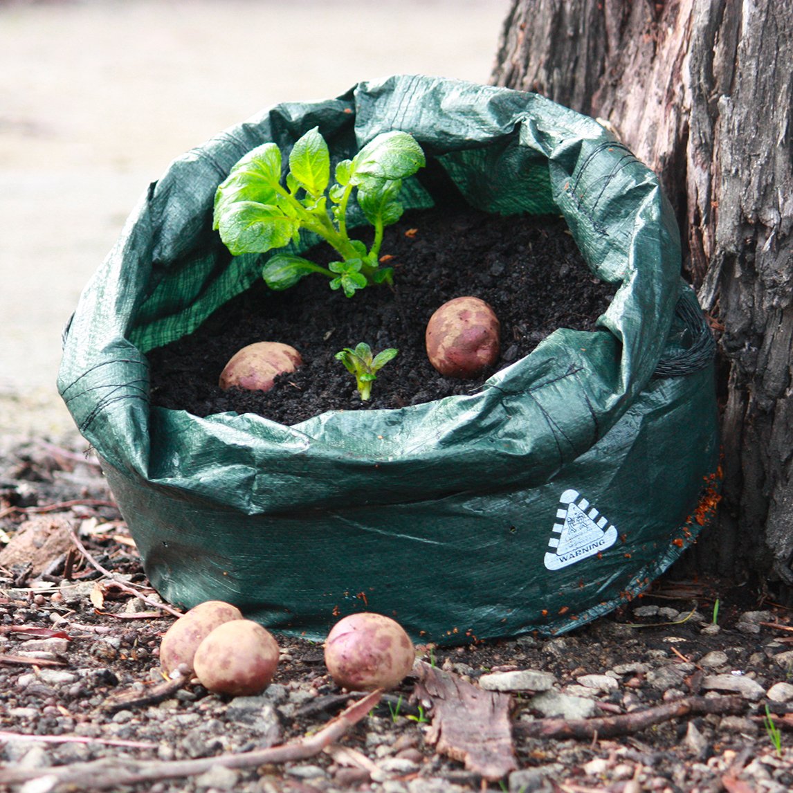 Heavy Duty Planter Bag - 3 Sizes Available – Hoselink USA