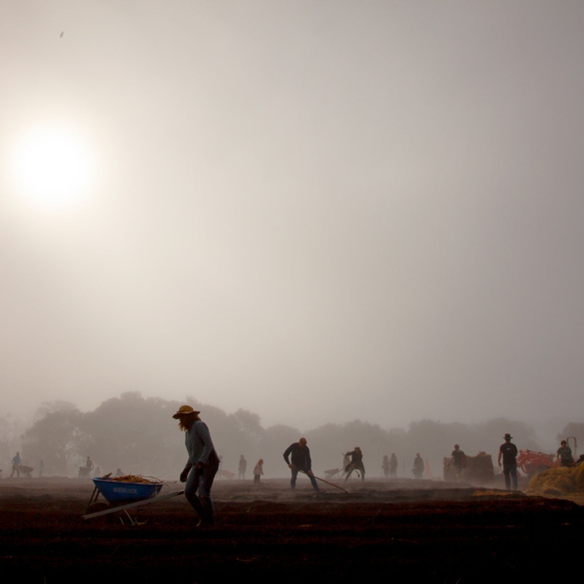 Becoming an Urban Farmer Workshop
