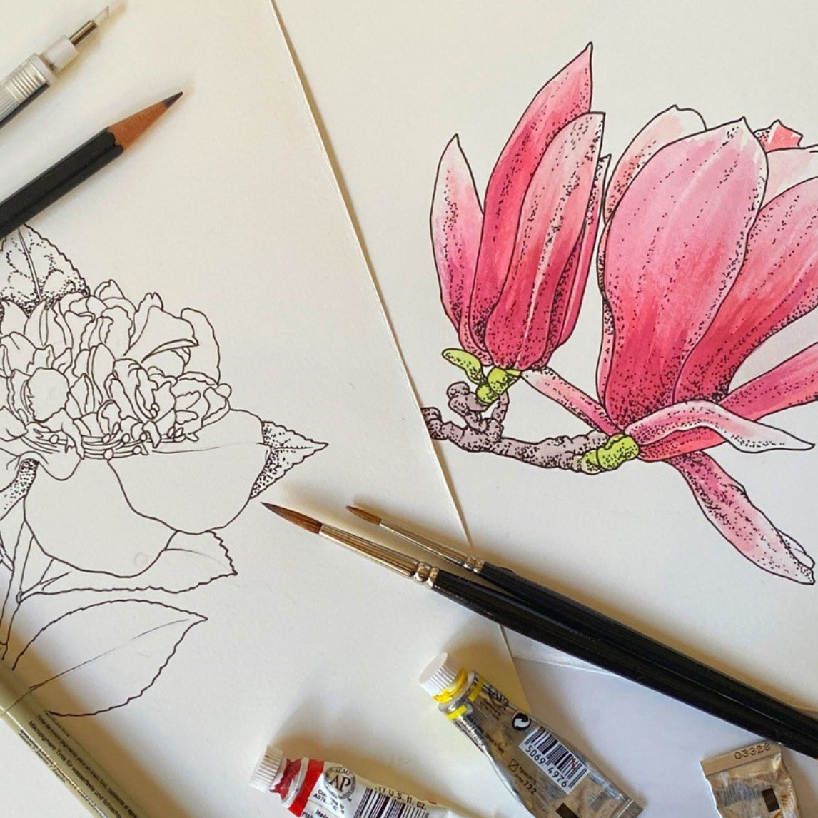 Botanical Illustration with Pen, Ink and Watercolor Masterclass