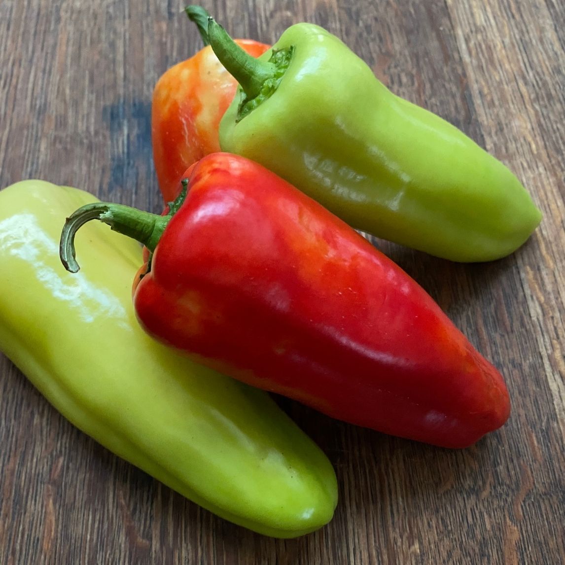 Capsicum &#39;Cubanelle&#39; 
