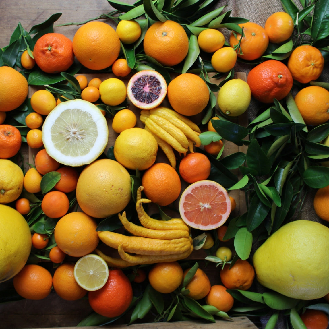 Caring For Citrus Workshop