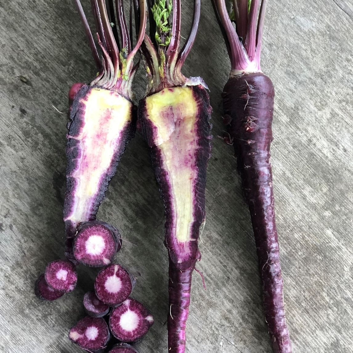 Carrot &#39;Black Nebula&#39;