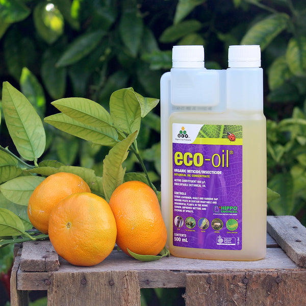 Eco-Oil &ndash; The Diggers Club