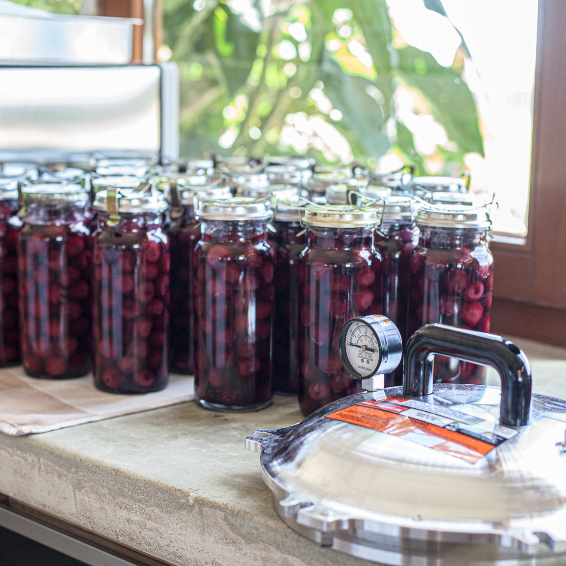 Fermenting and Preserving for Beginners Masterclass