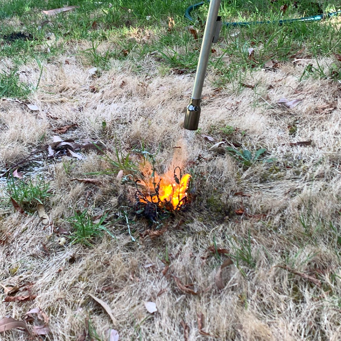Gas Flame Wand