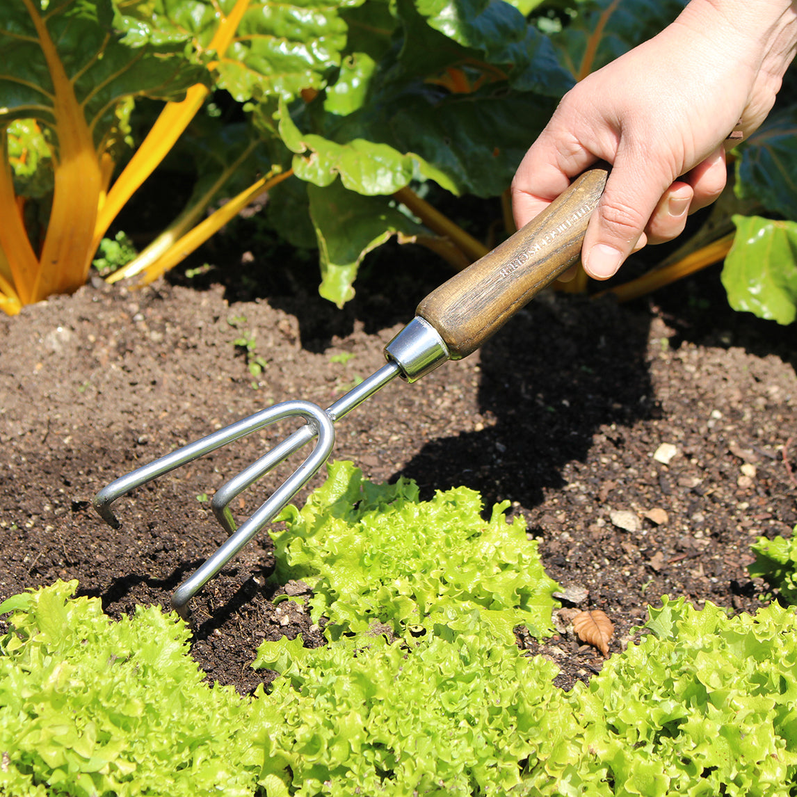Premium Stainless Steel Hand Cultivator