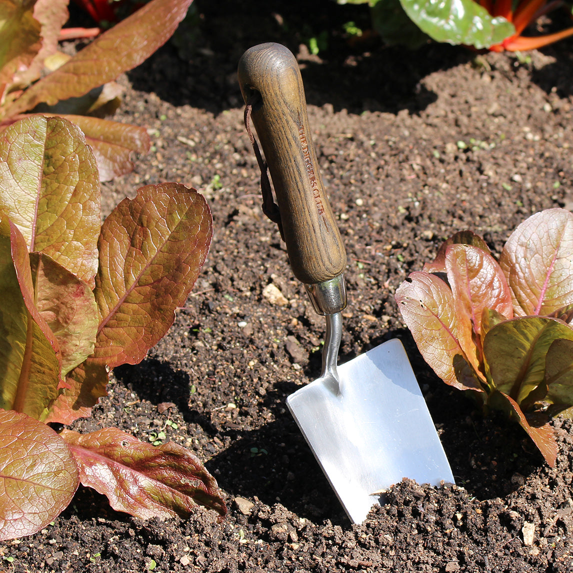 Premium Stainless Steel Hand Trowel