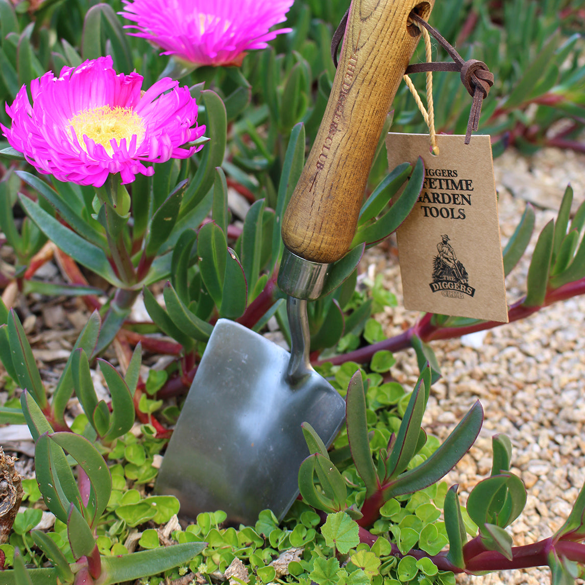 Premium Stainless Steel Hand Trowel