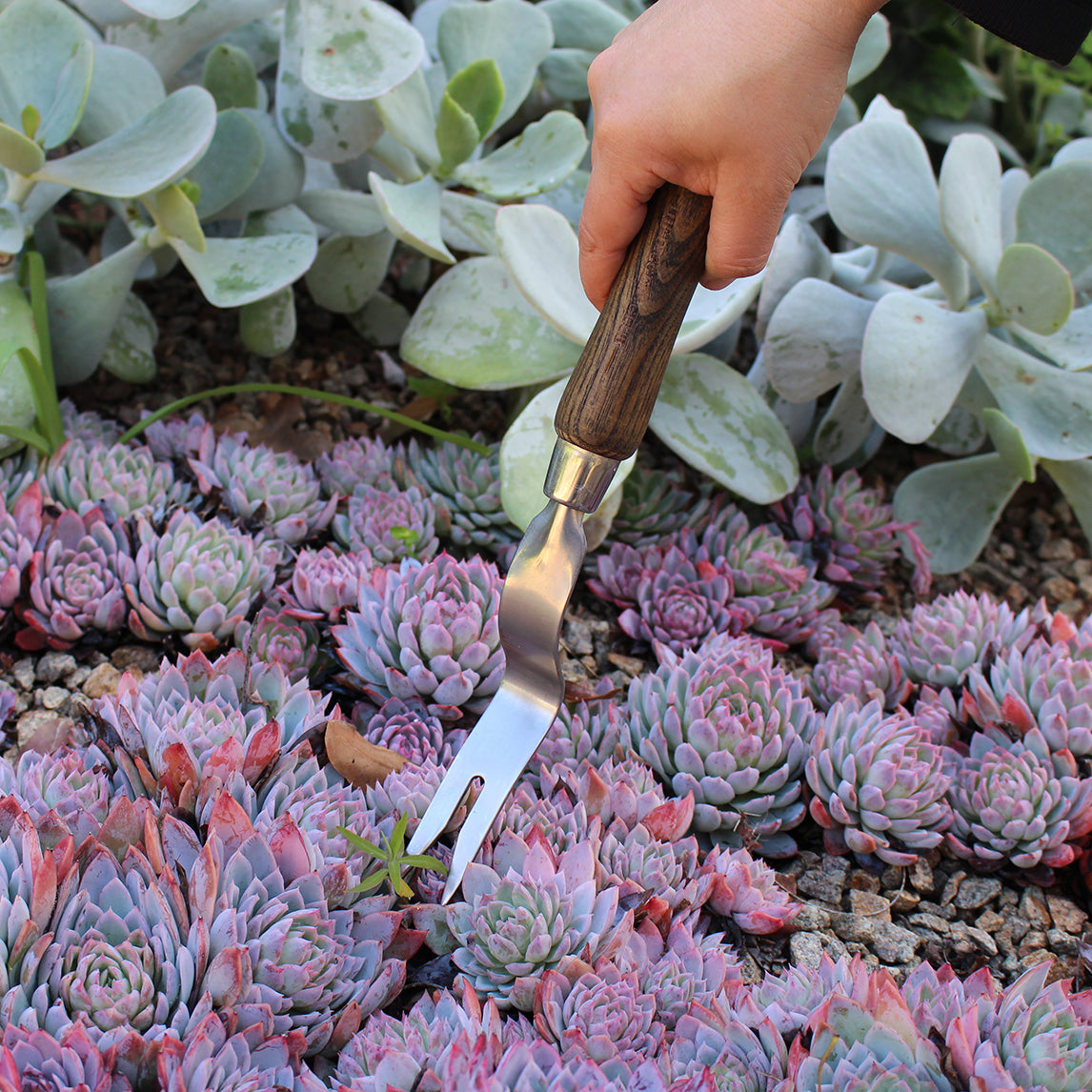 Premium Stainless Steel Hand Weeder
