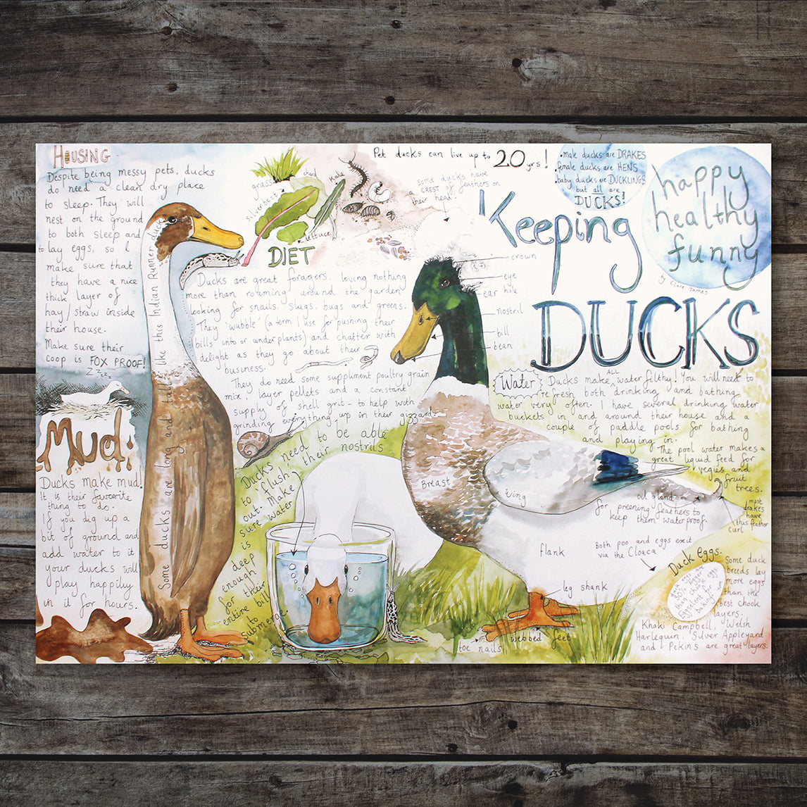 Keeping Ducks Poster