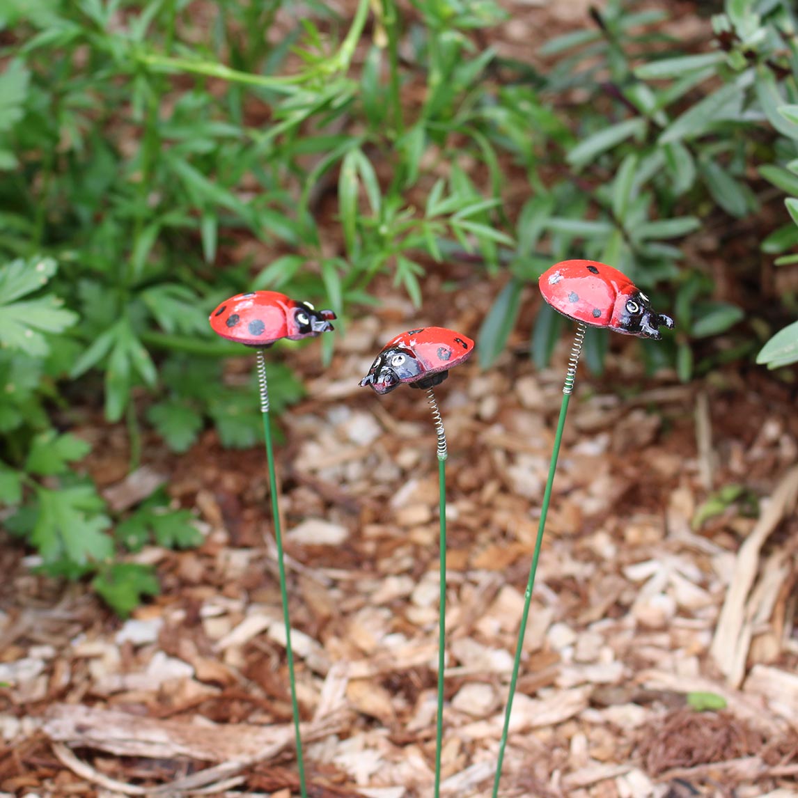 Ladybird on a Stick