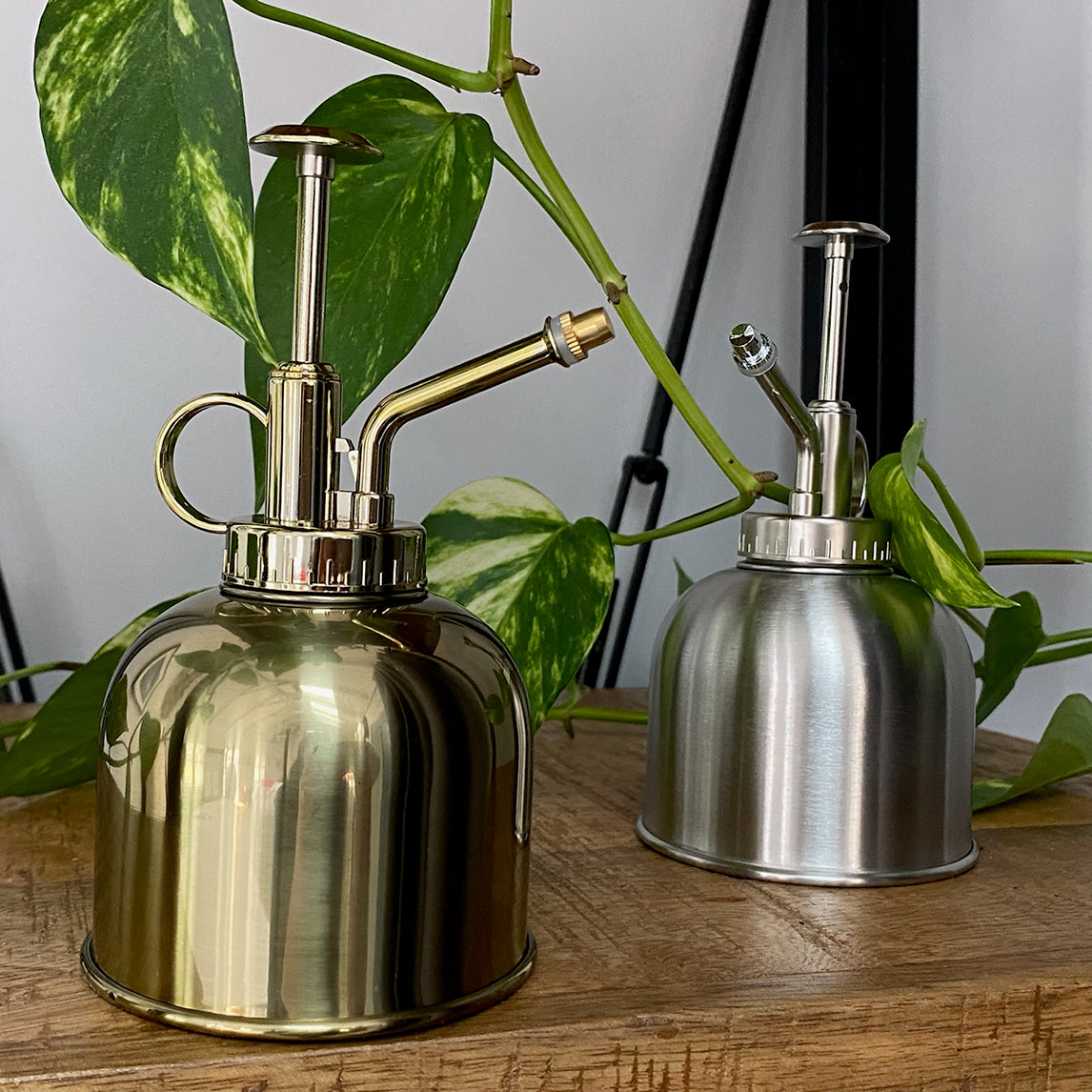 Oil Can Plant Mister