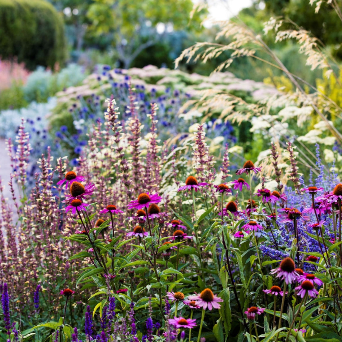 Perfecting Perennial Borders Workshop