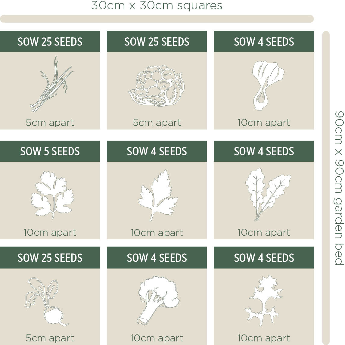 Chef's Winter Seed Collection