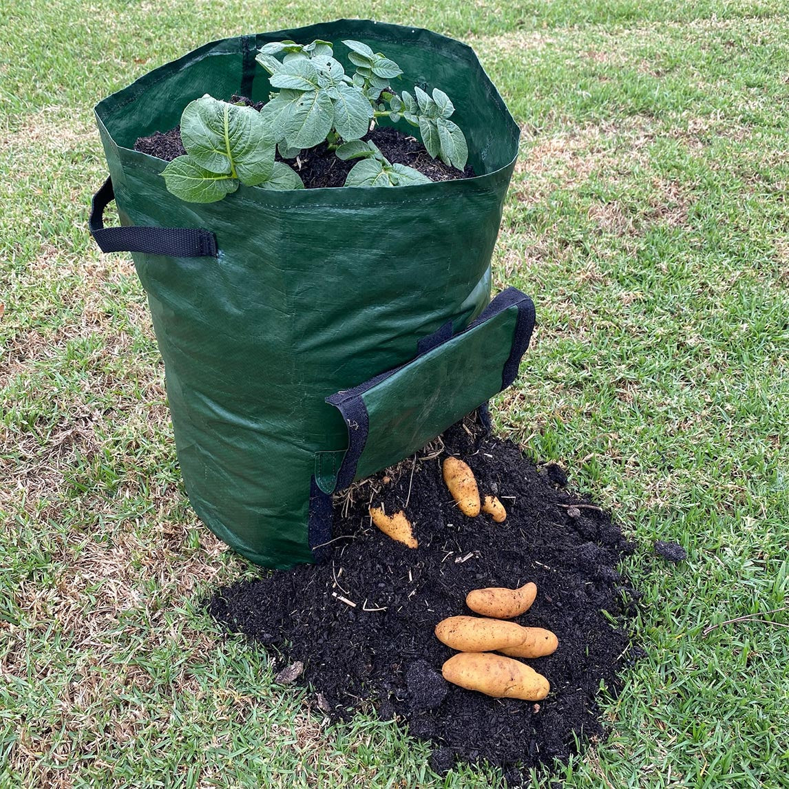 Potato Planting Grow Bag Twin Pack - Premium Exclusive