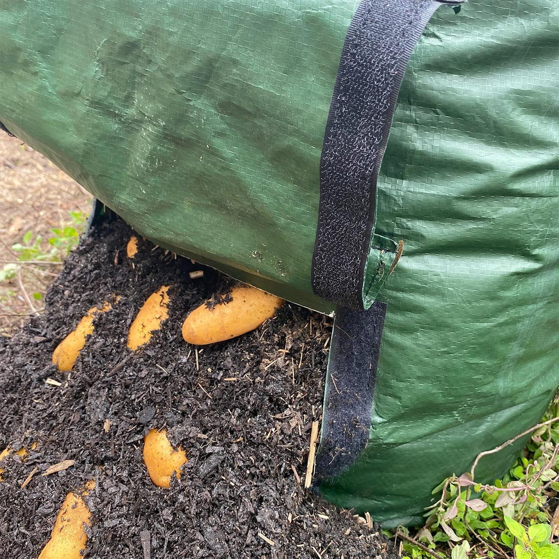Potato Planting Grow Bag Twin Pack