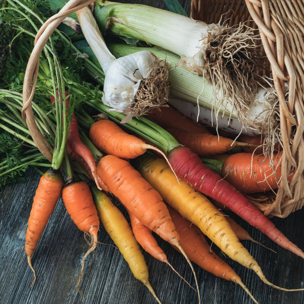 Prepare Your Patch for a Bumper Autumn/Winter Harvest Masterclass The