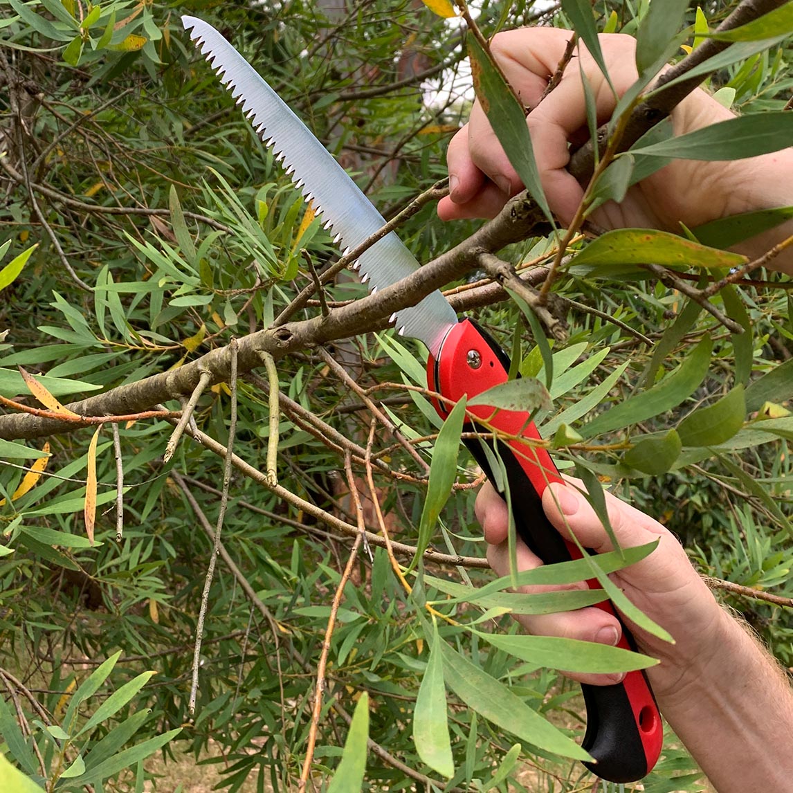 Pruning Saw