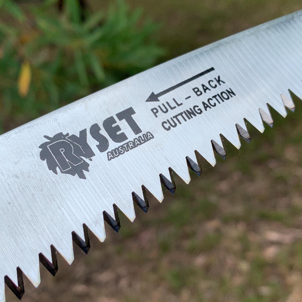 Pruning Saw