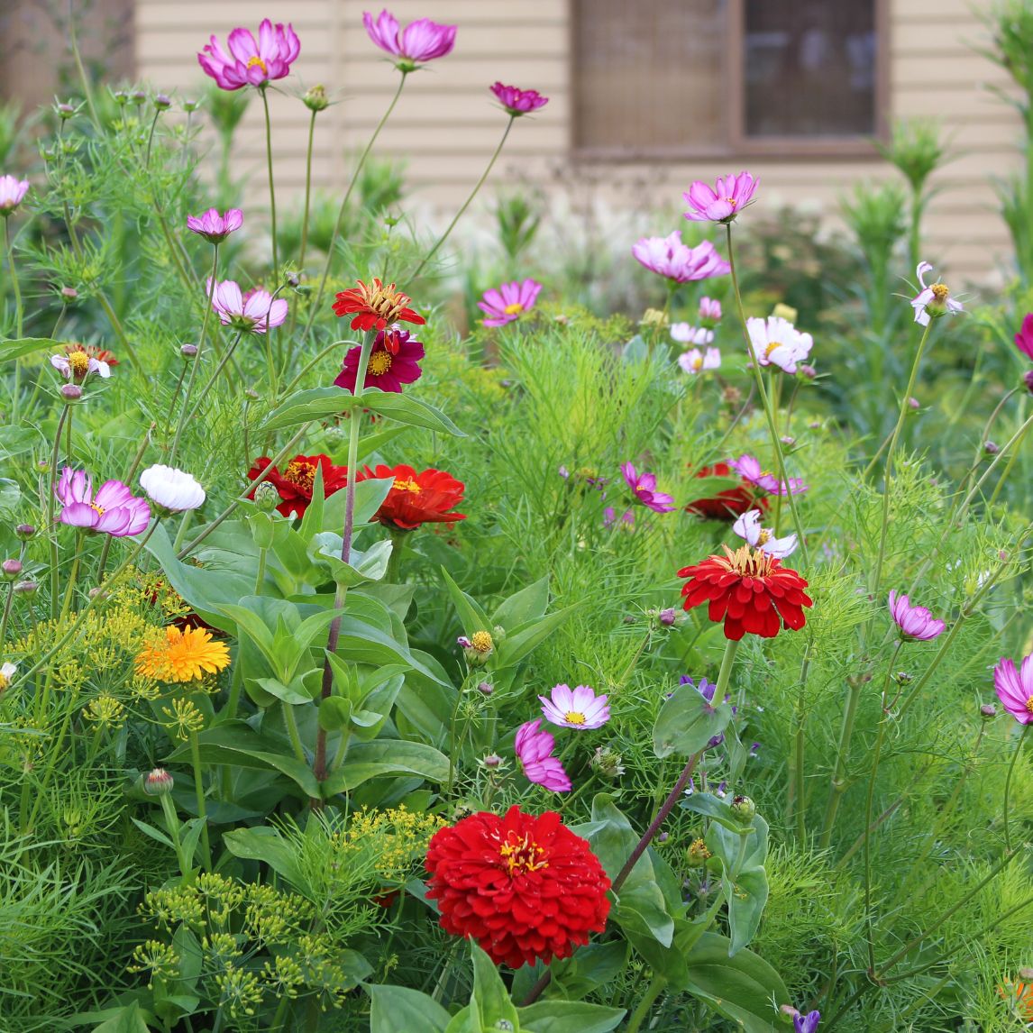 Sunset Meadow Collection