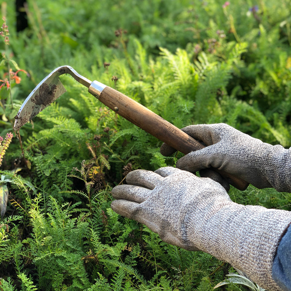 Premium Stainless Steel Hand Hoe