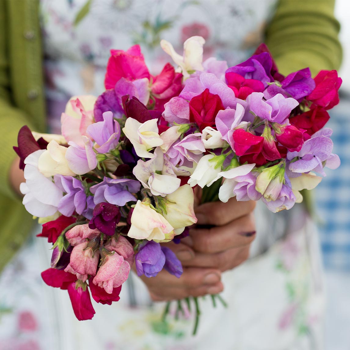 Sweet Pea Posy Collection
