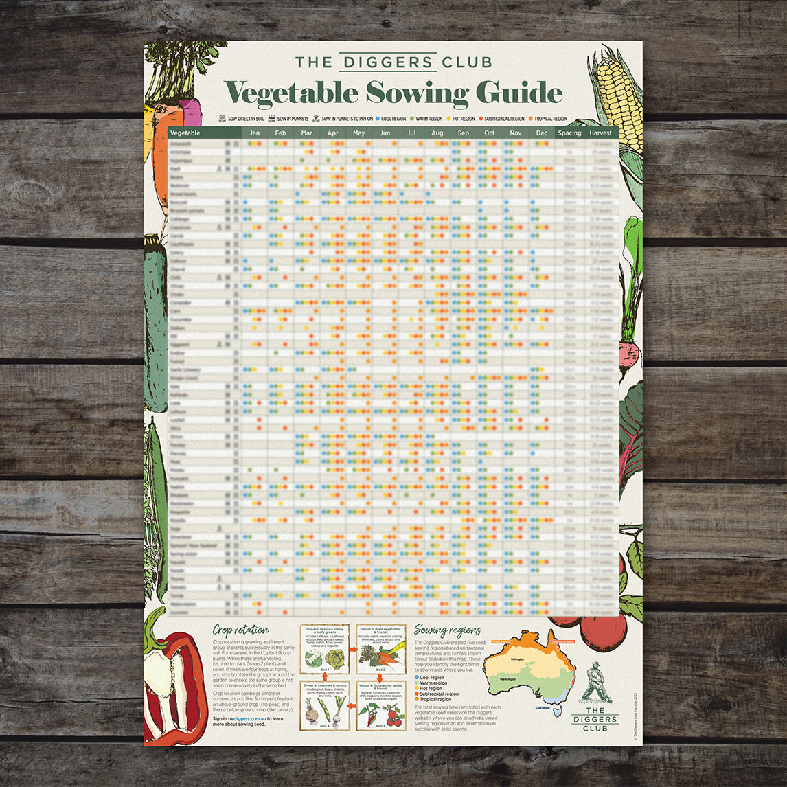 Diggers Vegetable Seed Sowing Guide