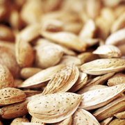 Almond Self-Pollinating