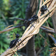 Ants Wire - set of 3