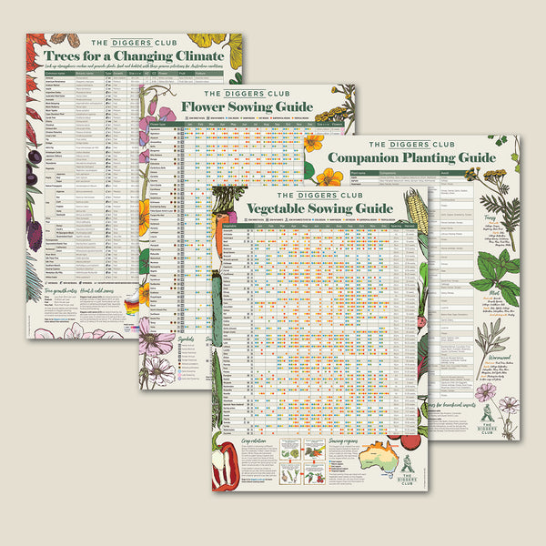 Diggers Heirloom Poster Set The Diggers Club Diggers heirloom poster set the diggers club