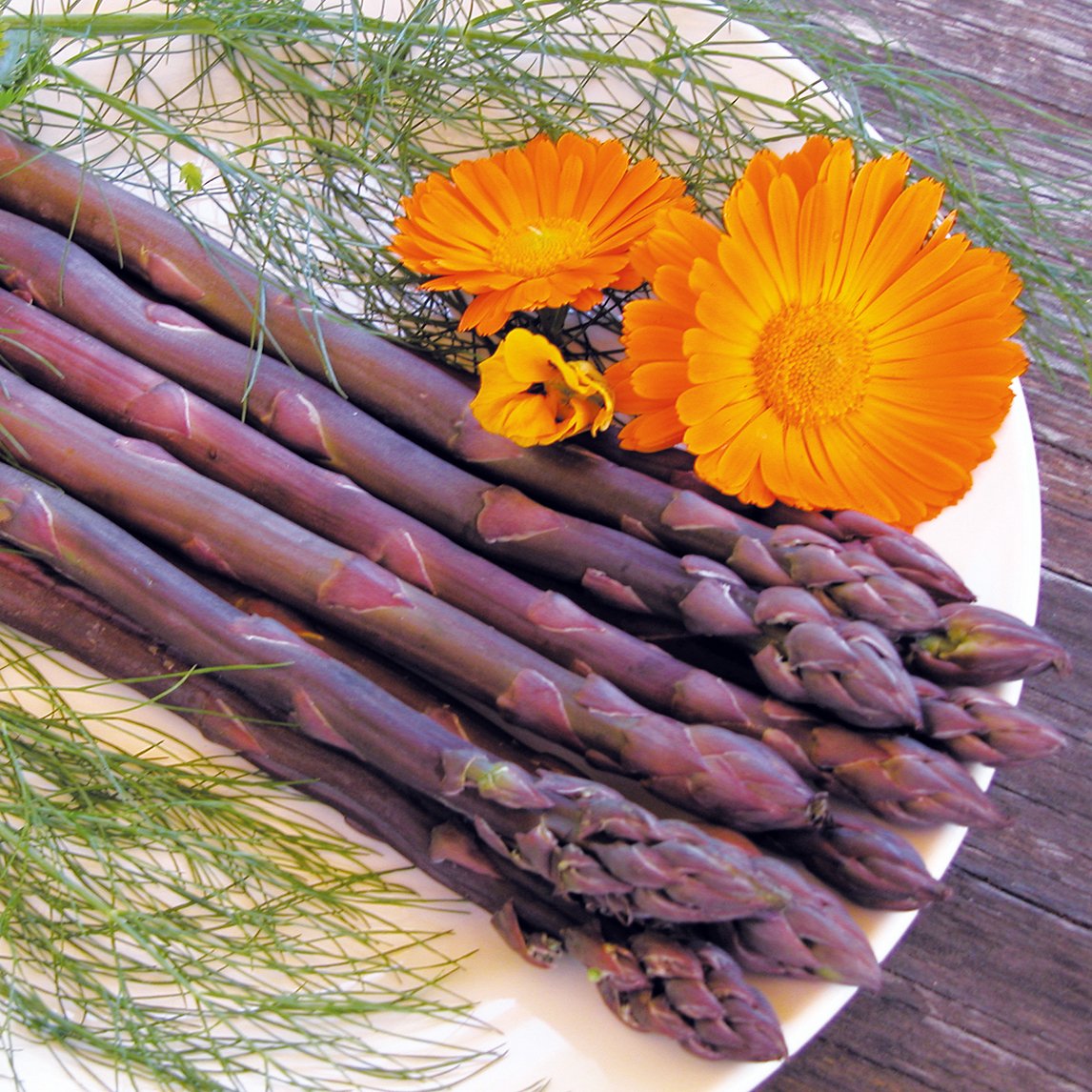 Asparagus &#39;Sweet Purple&#39; (Plant)
