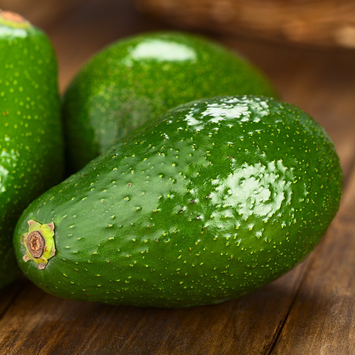 Avocado 'Fuerte'