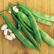 Bean 'Blue Lake' Climbing (Organic)