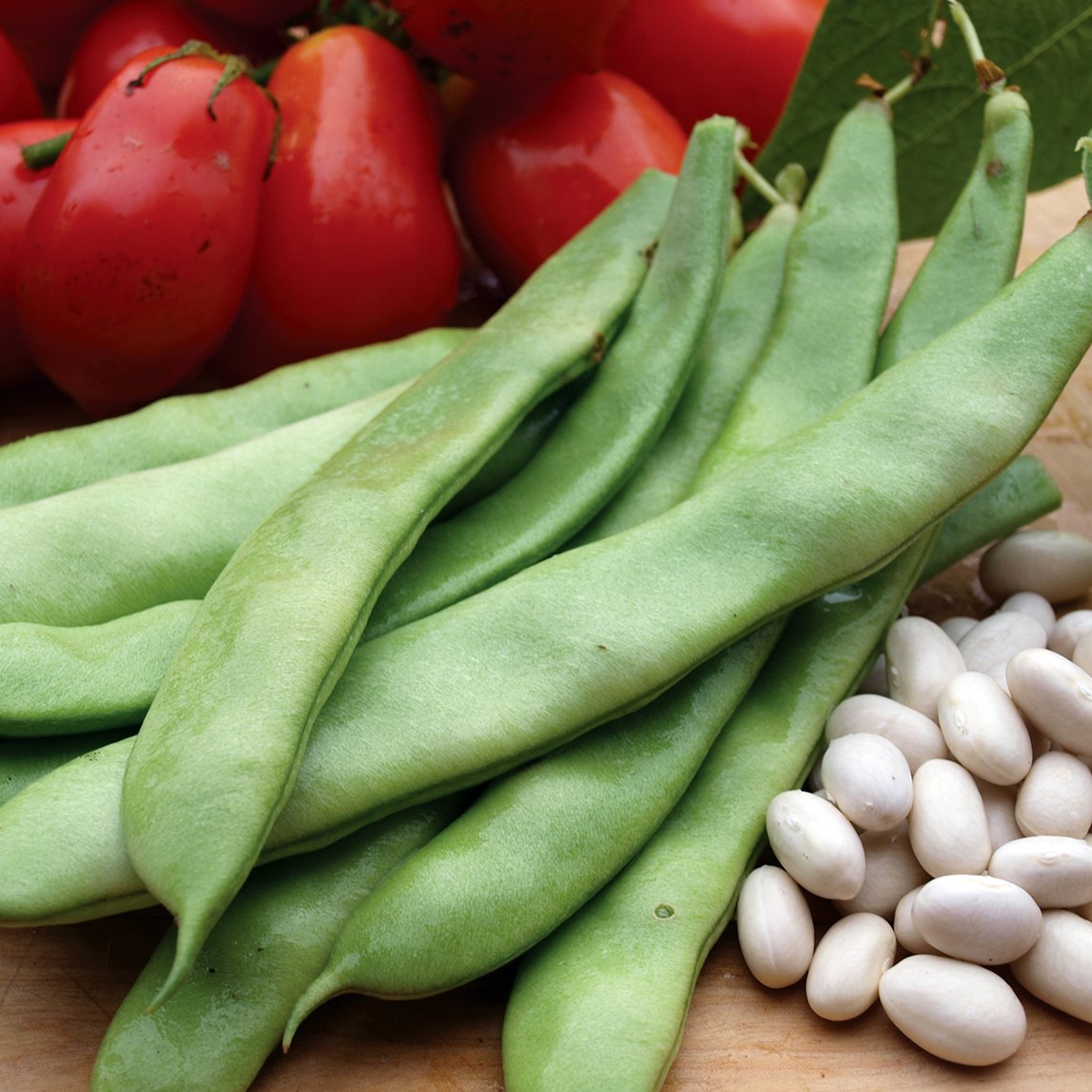 Bean &#39;Italian Romano&#39;