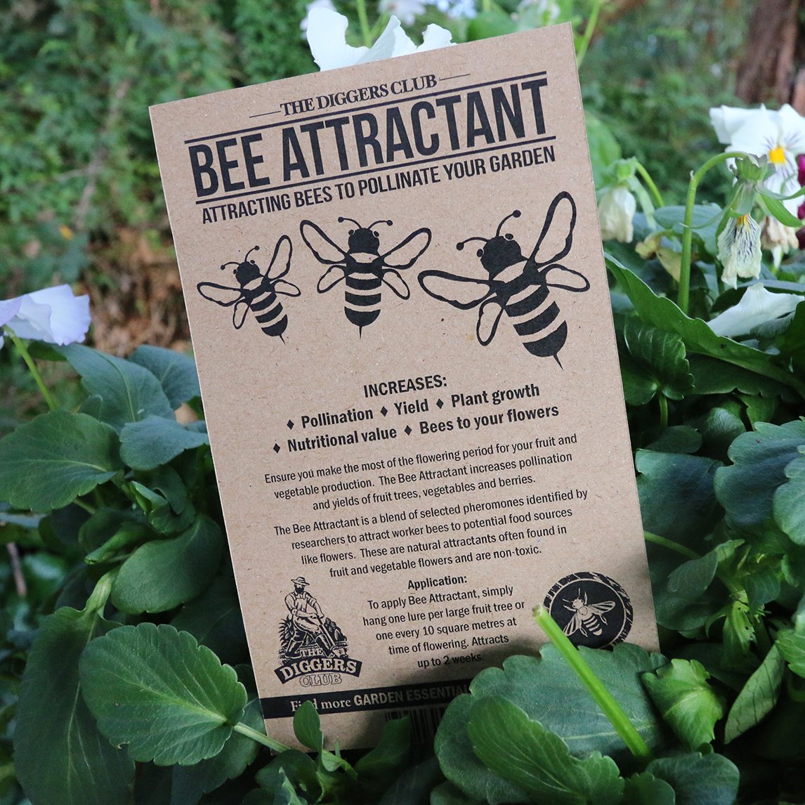 Bee Attractant - The Diggers Club