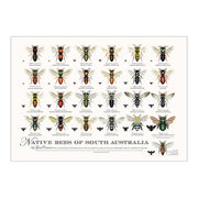Native Bee Poster - All States