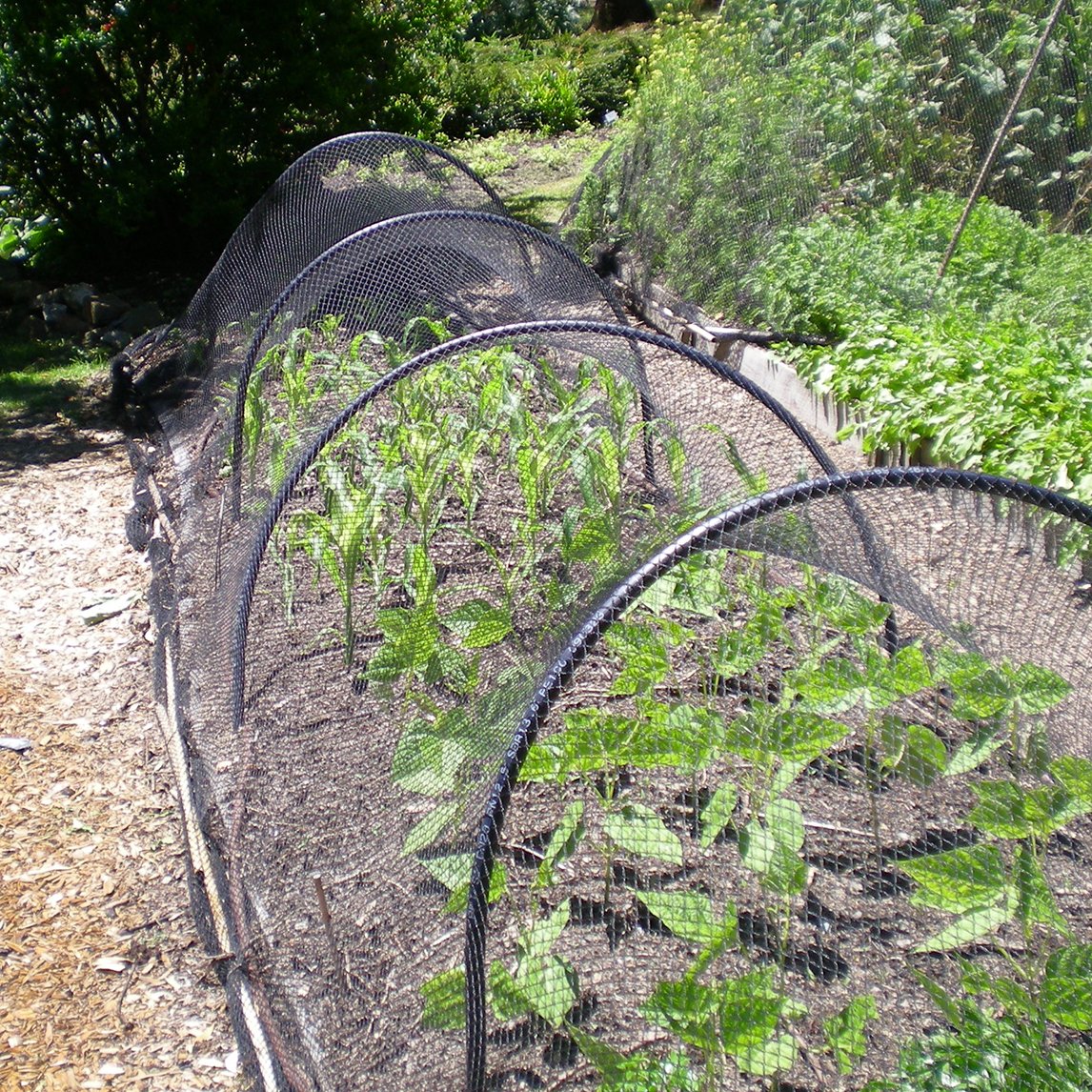 Garden Netting (Black)