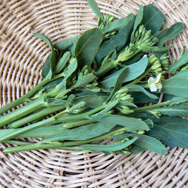 Asian Greens Collection