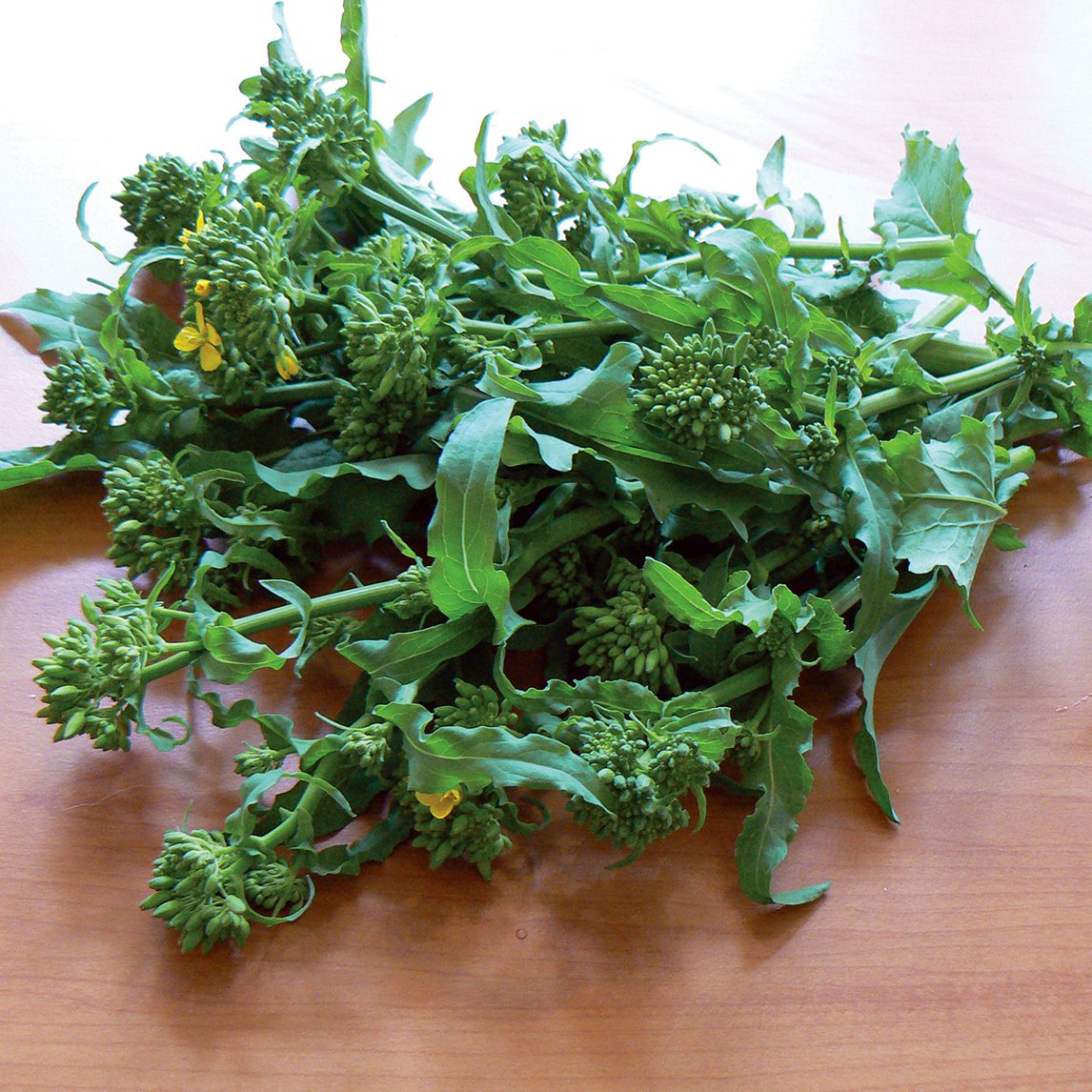 Broccoli &#39;Raab Sessantina Grossa&#39;