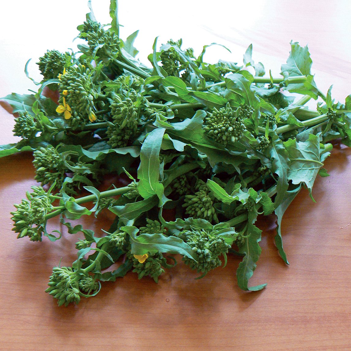 Broccoli 'Raab Sessantina Grossa'