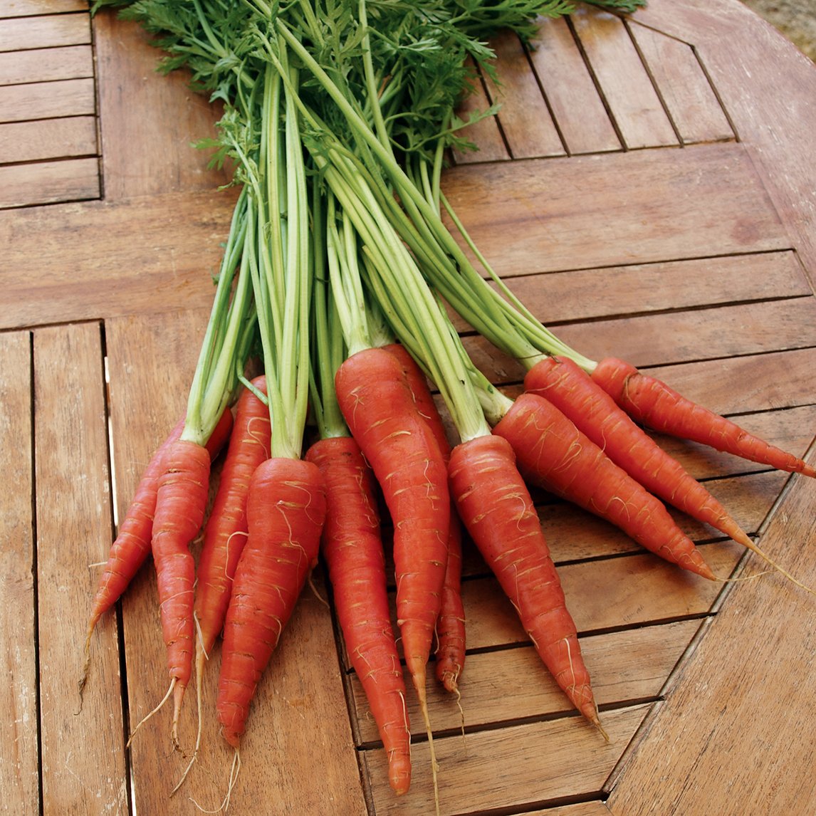 Carrot 'Atomic Red'