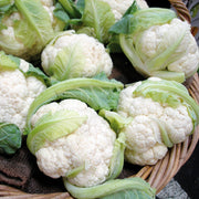 Cauliflower 'Mini'
